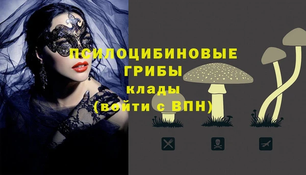 ГАЛЛЮЦИНОГЕННЫЕ ГРИБЫ Ладушкин