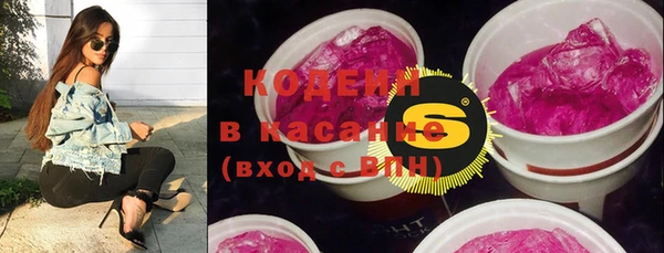 apvp Гусиноозёрск