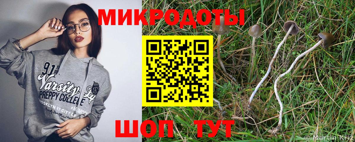 Галлюциногенные грибы MAGIC MUSHROOMS  Вход с VPN  Наро-Фоминск 