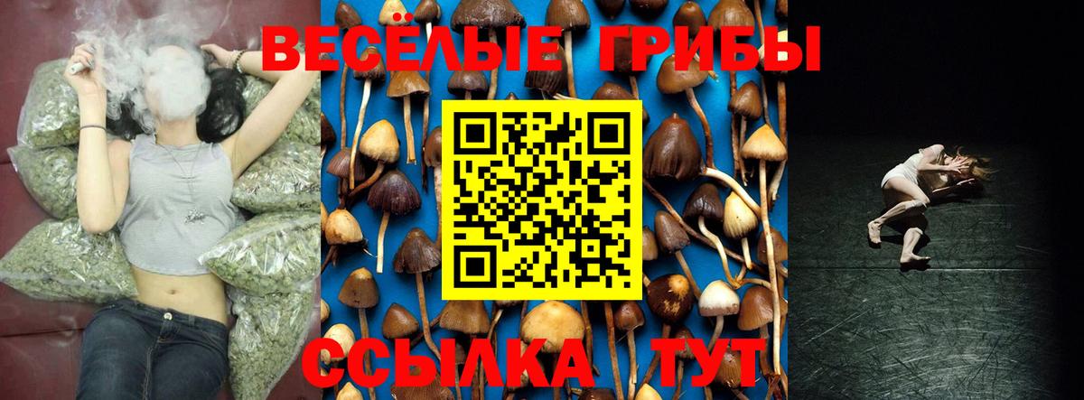 Галлюциногенные грибы GOLDEN TEACHER Наро-Фоминск